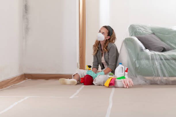 Reliable Mold Cleanup contractor in Erie, PA by WQB Mold Removal